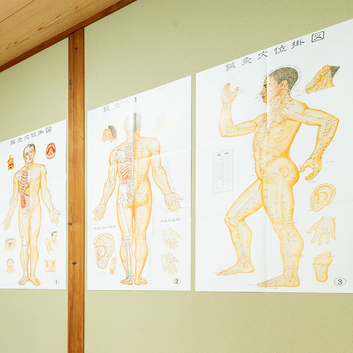 体質改善を目指す長期的なサポート